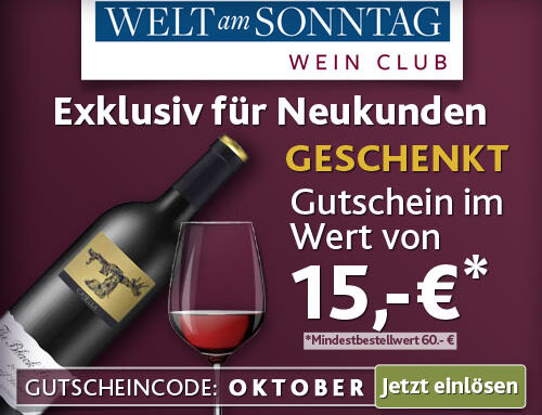 Web-Banner-Design für Welt am Sonntag